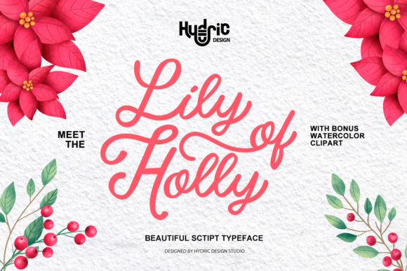 Lily of Holy: The Elegant Handwritten Font for Modern Design